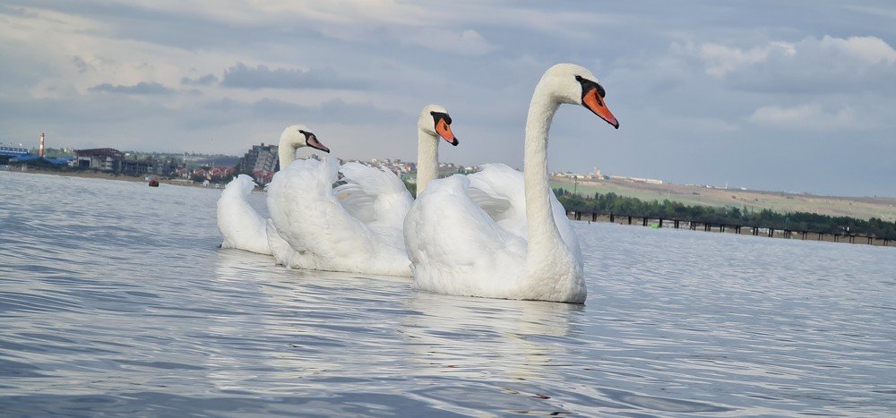 Photograph by Алексей Миронов