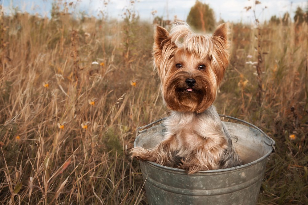 Photograph by Karina Bragina