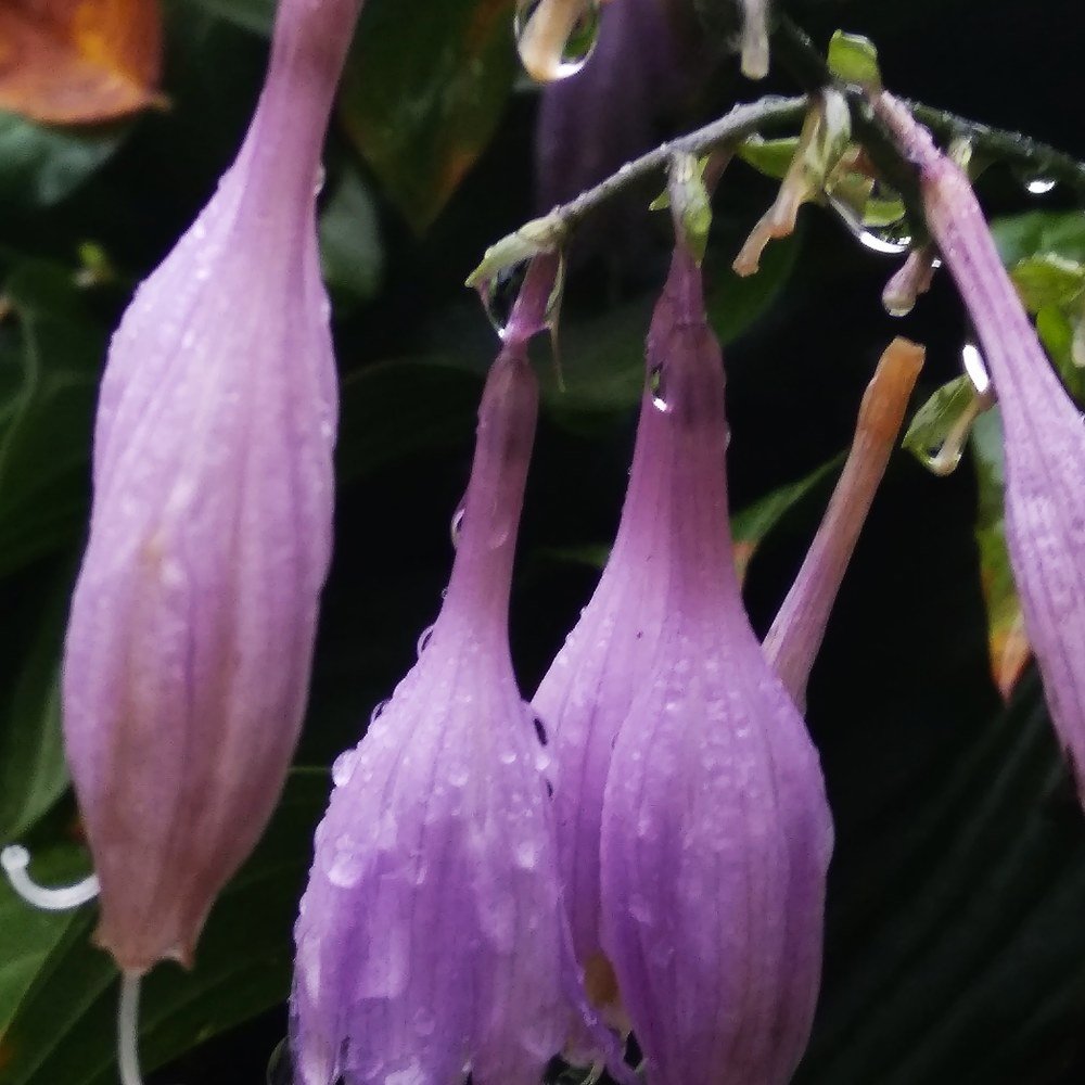 Photograph by Руслан