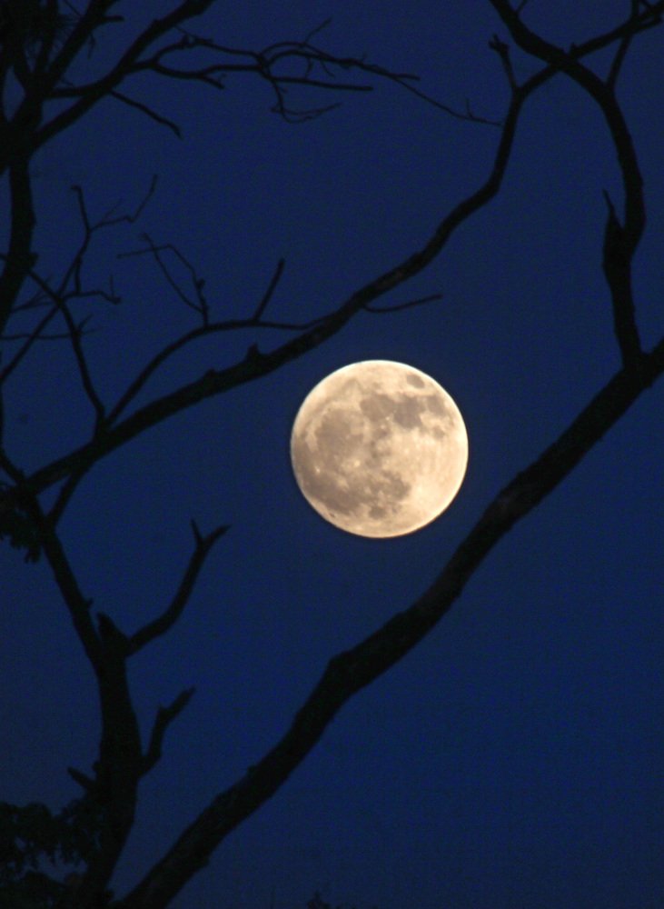 The beauty view of full moon