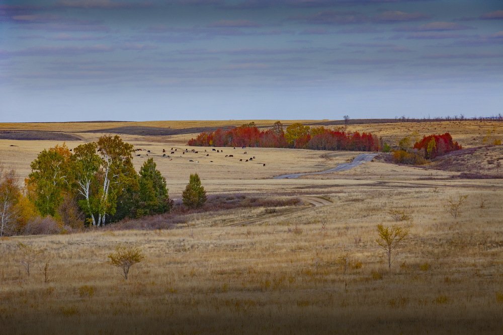 Photograph by петр чиков