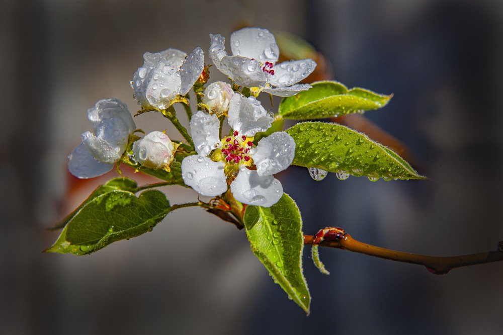 Photograph by петр чиков