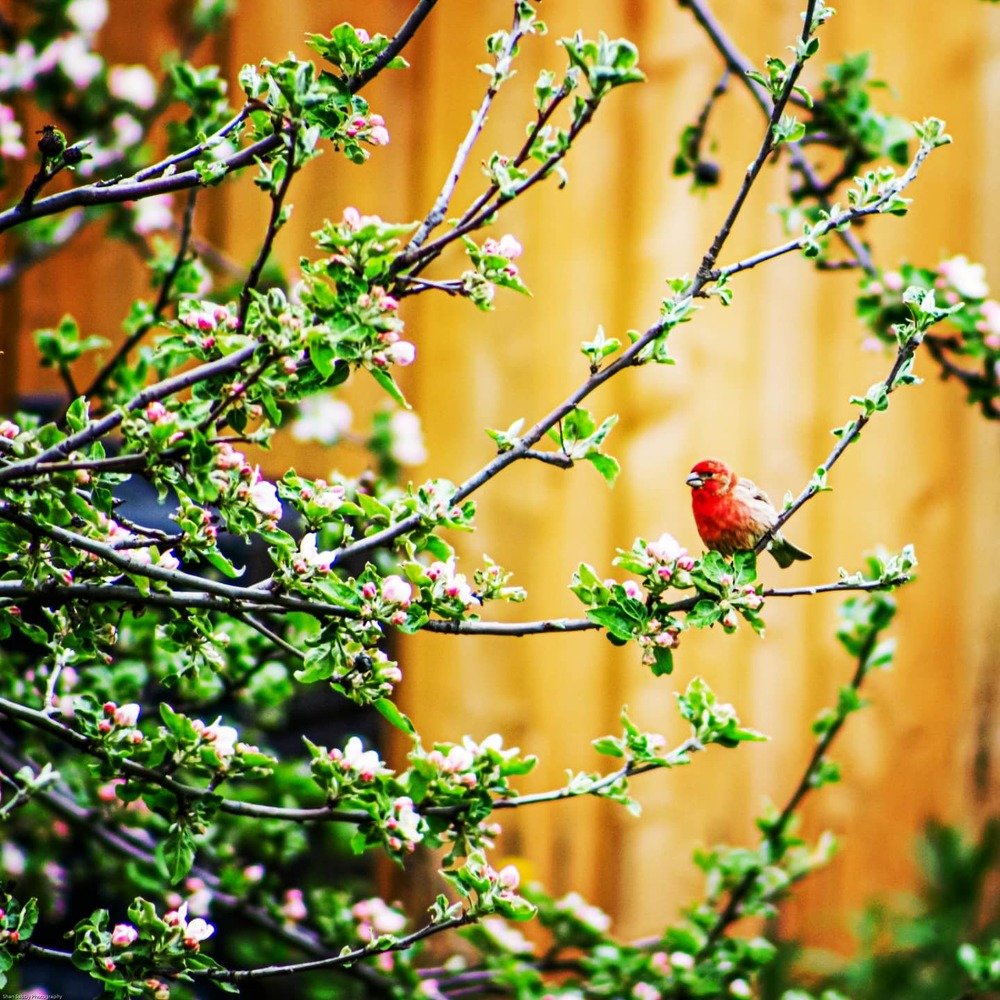 Photograph by Sharon Sabharwal