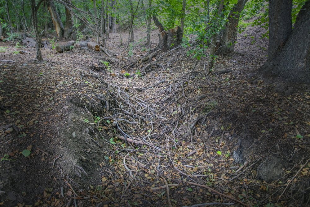 Photograph by петр чиков