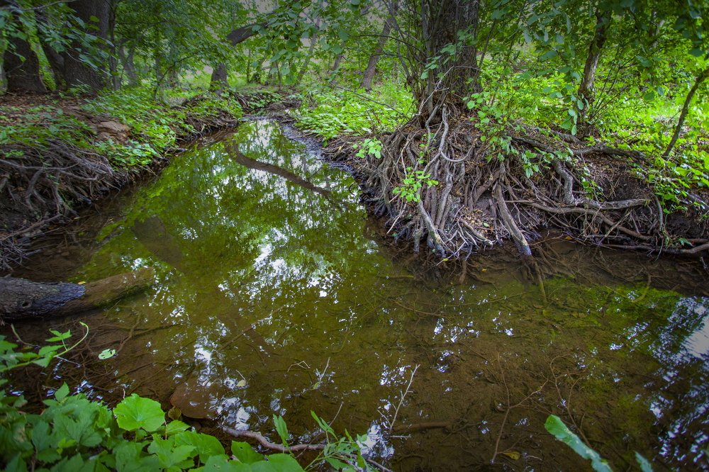 Photograph by петр чиков