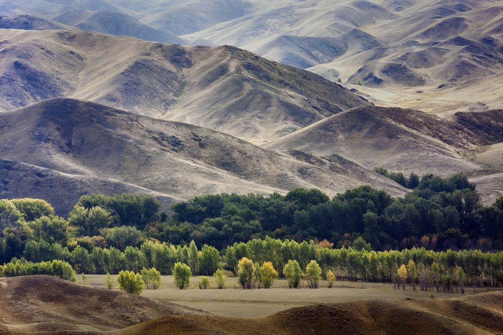 Photograph by петр чиков