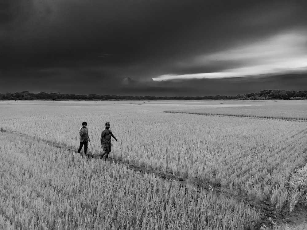 Photograph by Tahseen Muhin