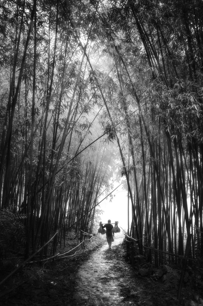 Photograph by Cao Tuan