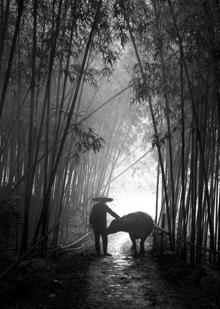 Photograph by Cao Tuan