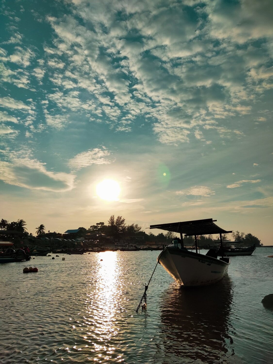Photo #5013395
