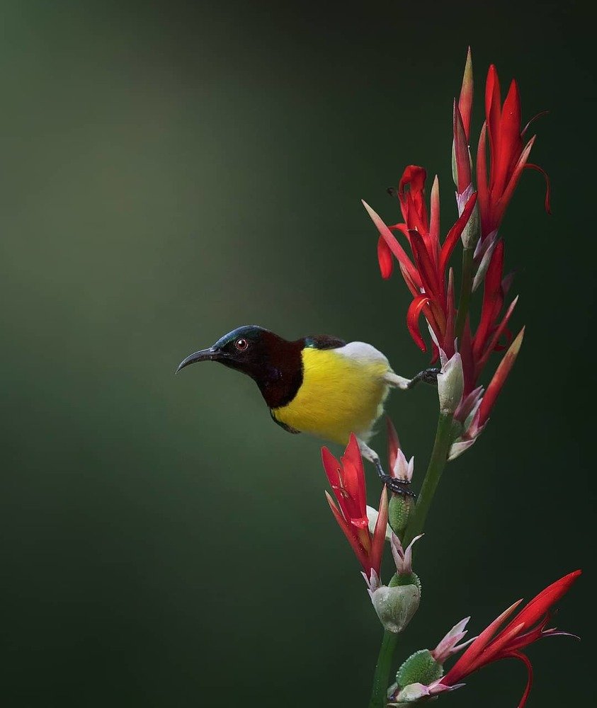 Photograph by Anirudh Vidyabhushan