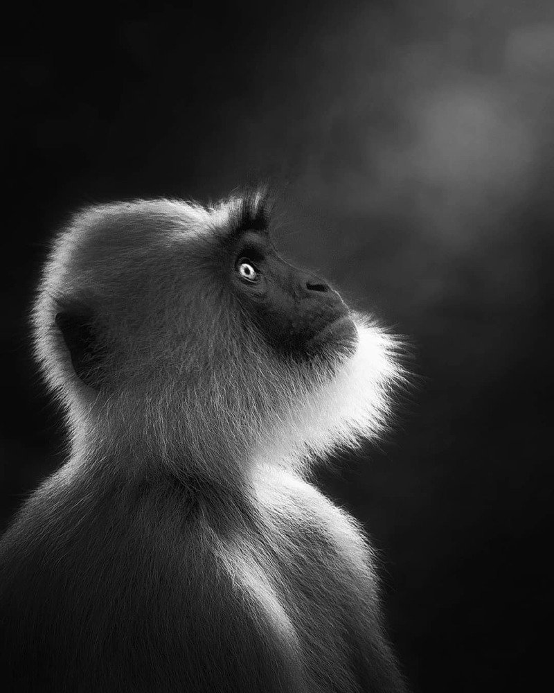 Photograph by Anirudh Vidyabhushan