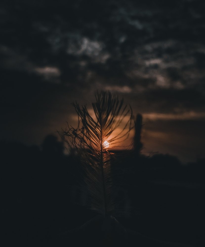 Photograph by Aeshvarya Yadav