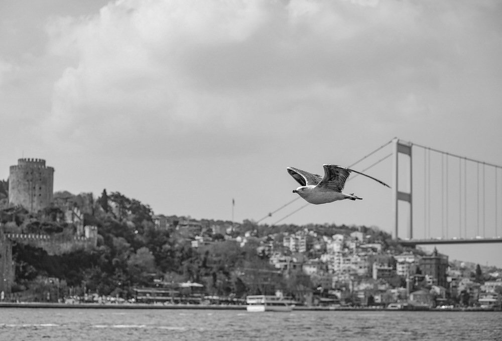 Photograph by Айшат Магомедова