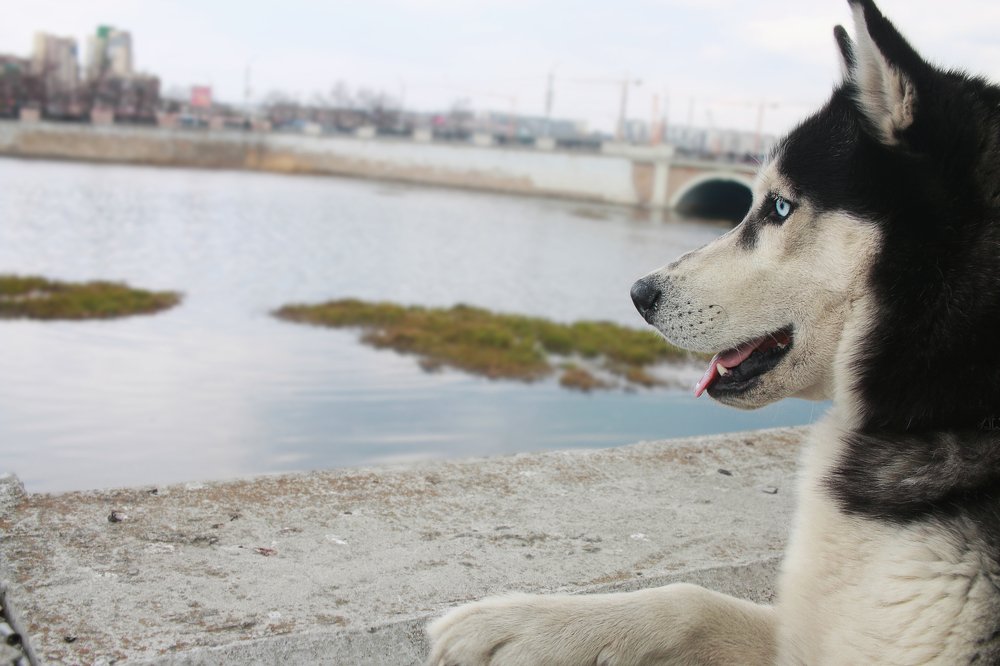 Photograph by Ирина Кононова