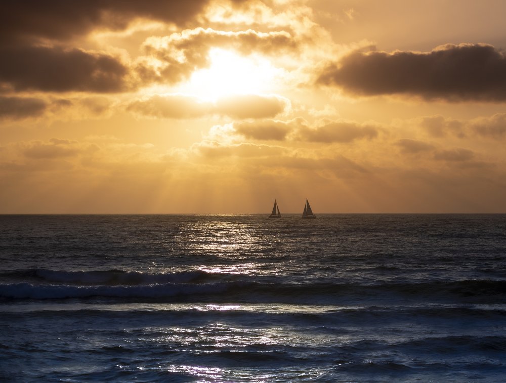 Photograph by Lili Rozet