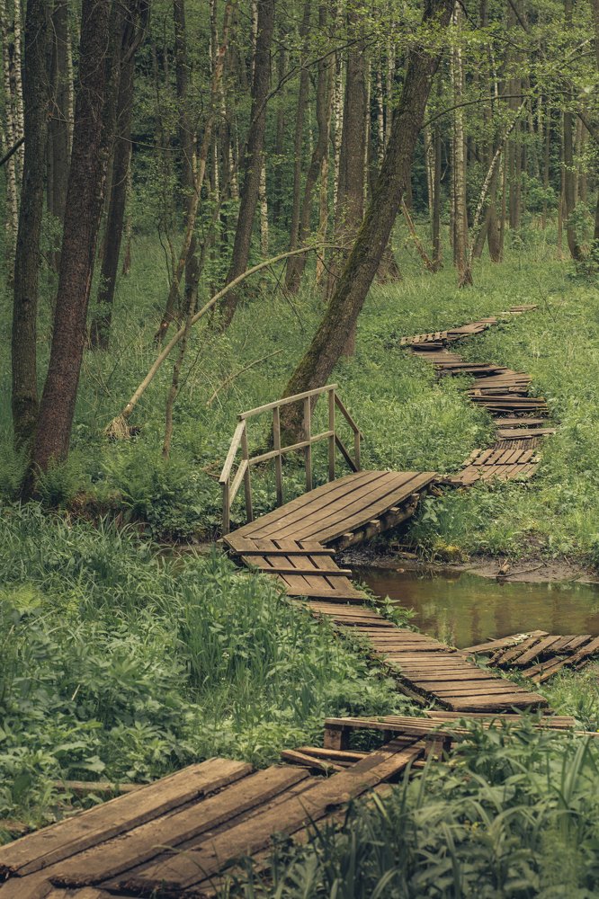 Photograph by Артем Полинин