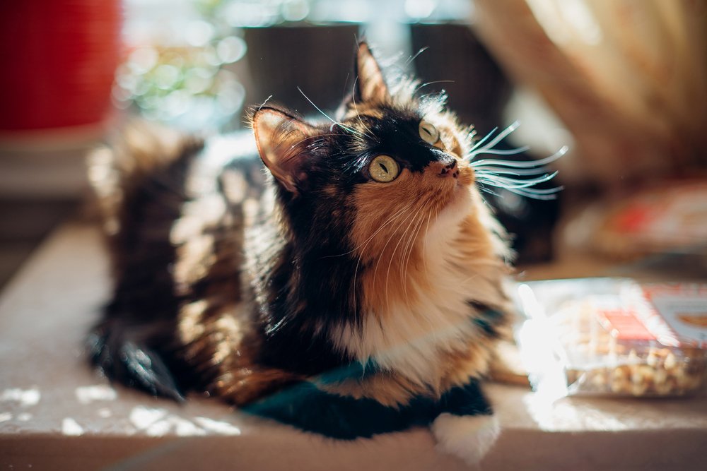Photograph by Марина Петухова