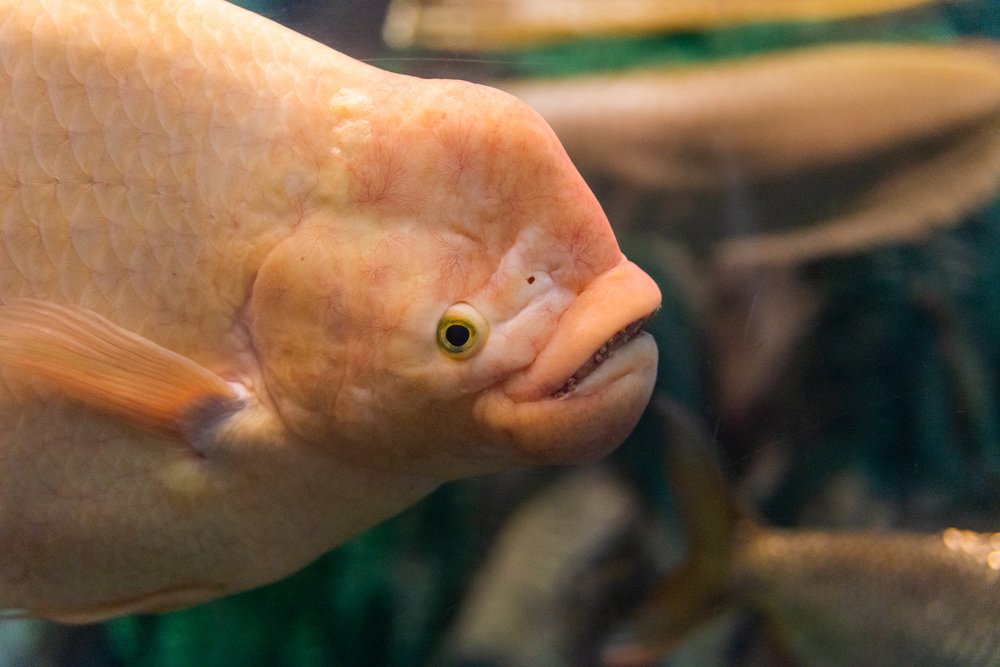 Photograph by Михаил Гнатковский