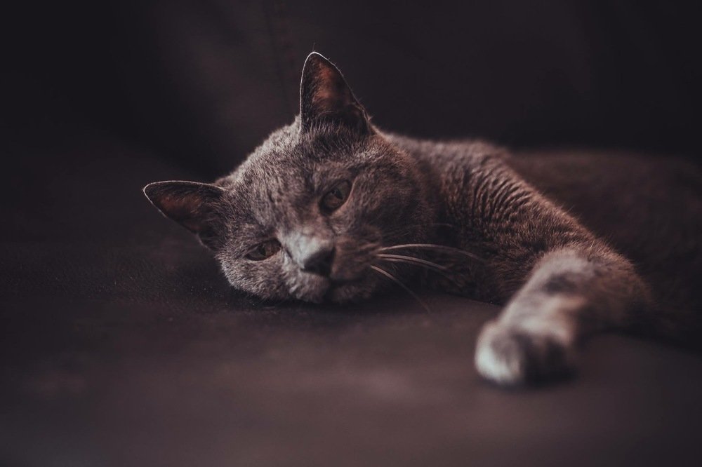 Photograph by Леонид Гроссман