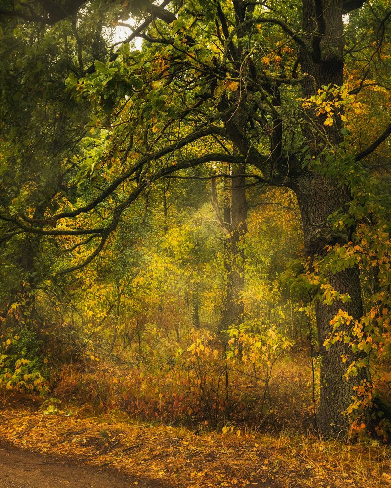 Photograph by Антон Харченко