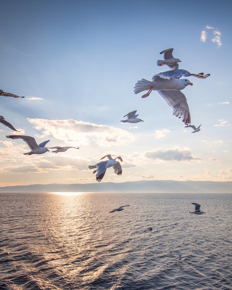 Photograph by Евгения Сосновская