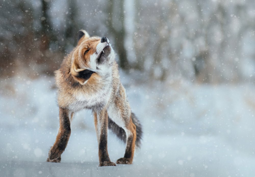 Photograph by Lucia Drietomska