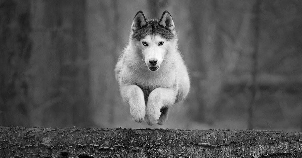 Фотография автора Мария Яропольская