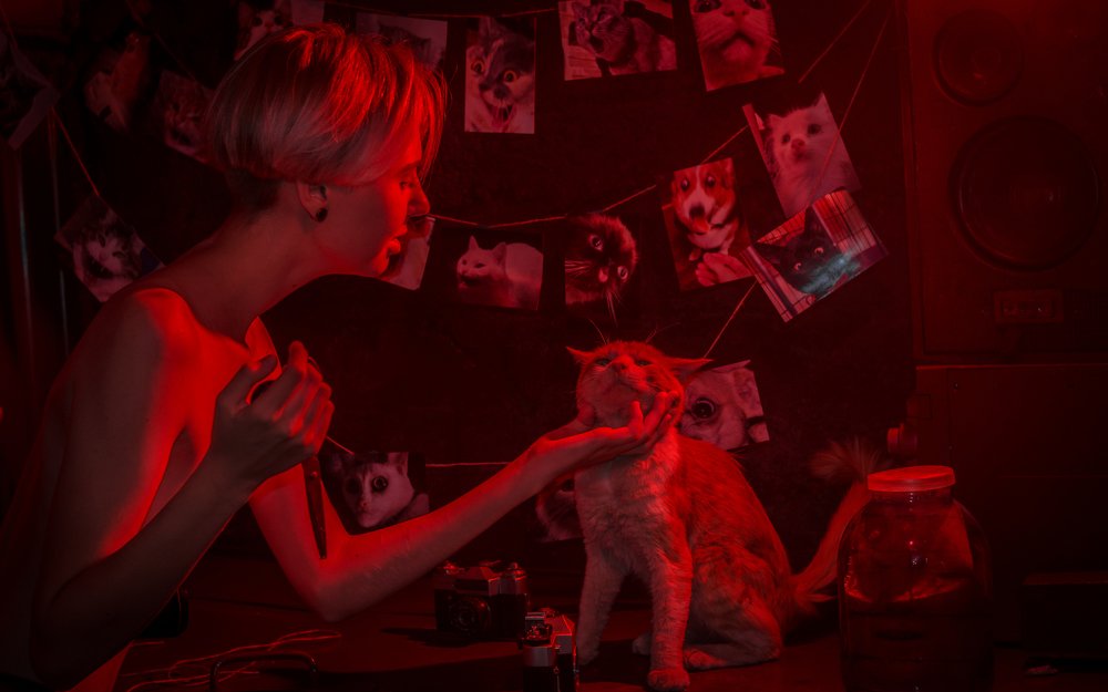 Photograph by Bogdan Lamanov