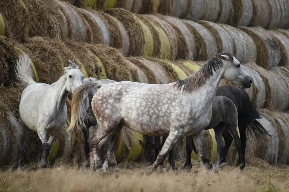 Photograph by Татьяна Крахина