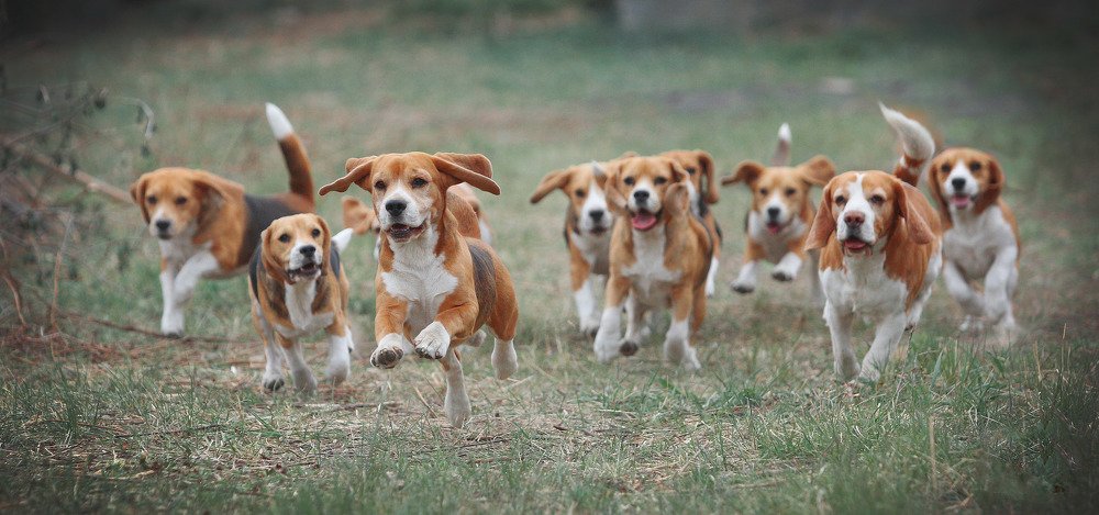 Фотография автора Katerina Mumzhinskaya