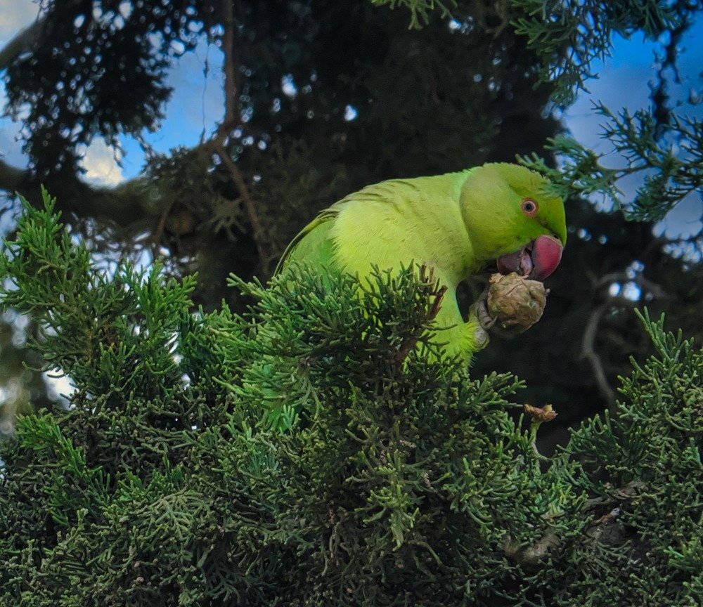 Photograph by Александр Деревяшкин