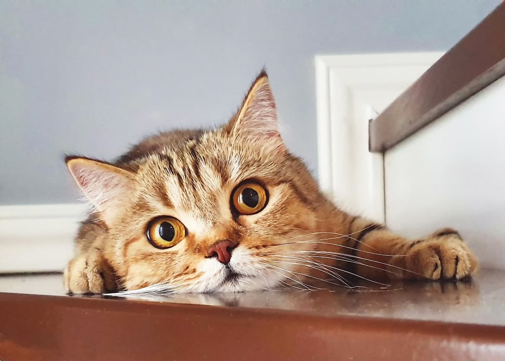 Photograph by Лиана Михайловская