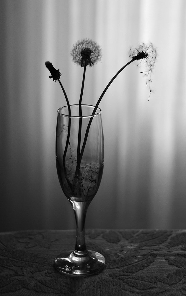 Photograph by Светлана Гок