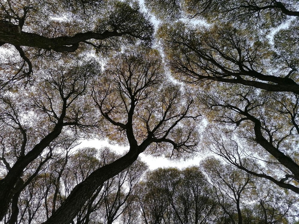 Photograph by Анна Павлюсенко