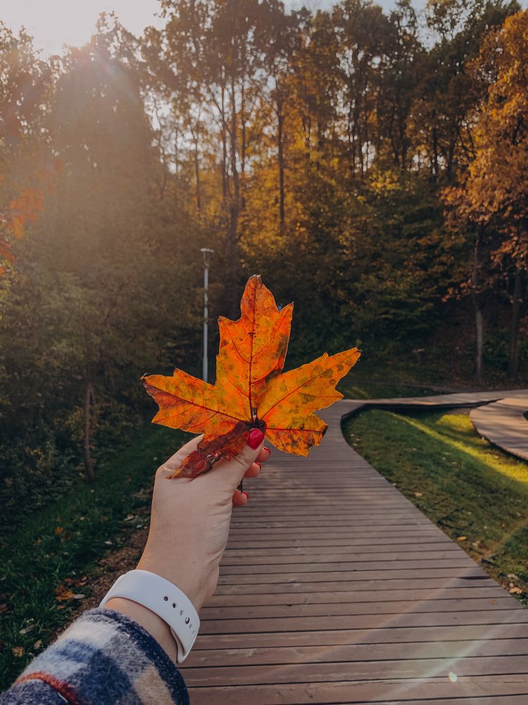 Photograph by Екатерина Кайнова