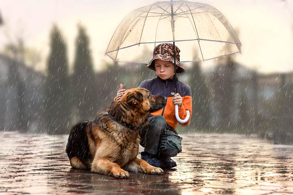 Photograph by Дарья Нартова