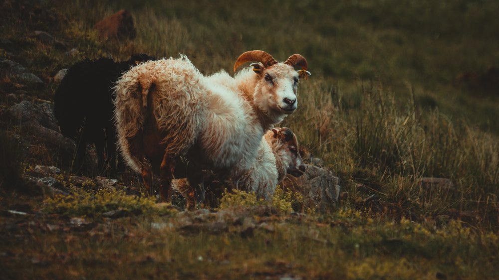 Photograph by Валерия Машкова