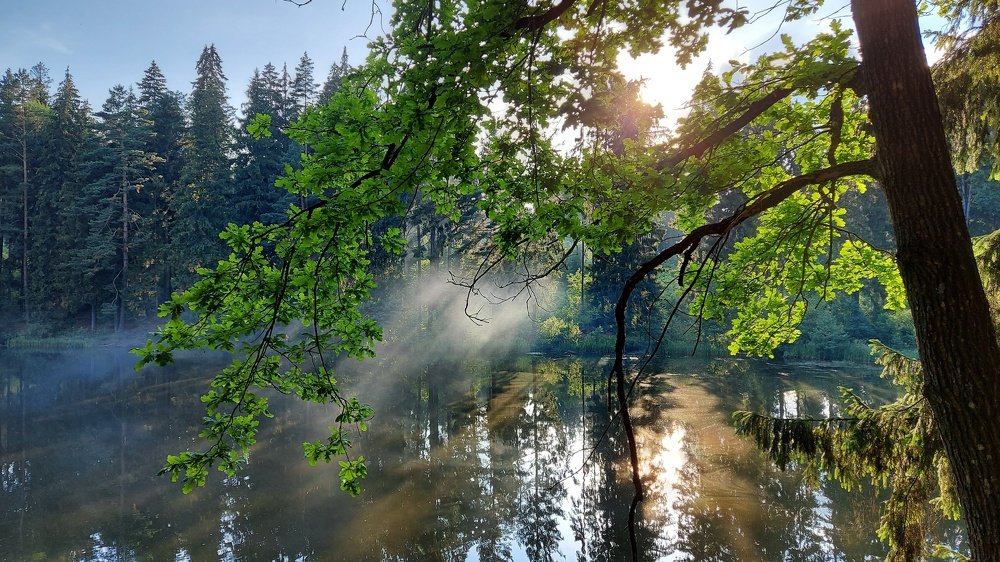 Photograph by ЭЛЬМИРА  ИСМАИЛОВА