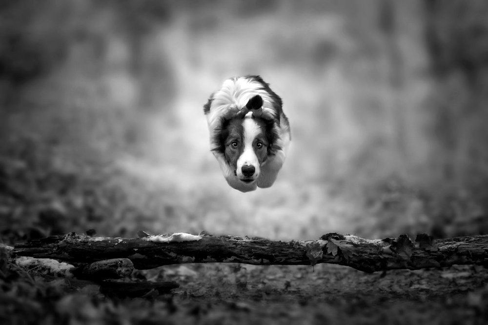 Photograph by Lucia Drietomska