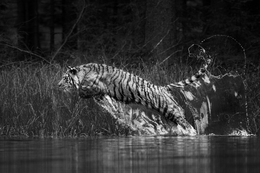 Photograph by Lucia Drietomska