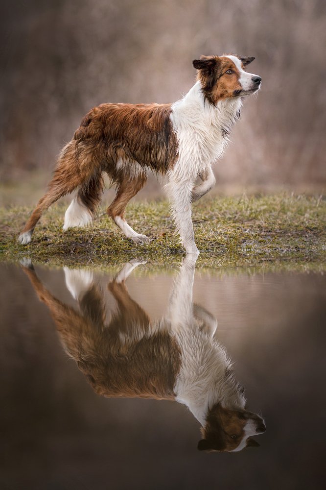 Photograph by Lucia Drietomska