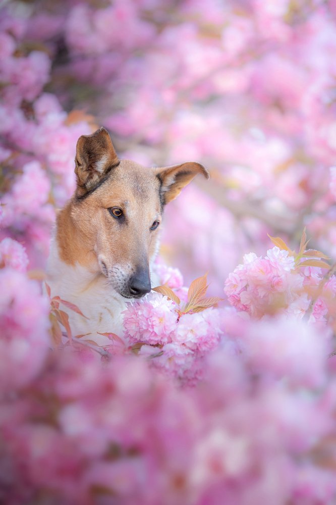 Photograph by Lucia Drietomska