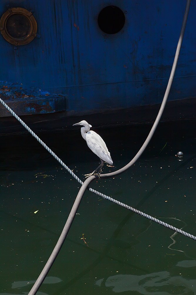 Photograph by Валентин Александров