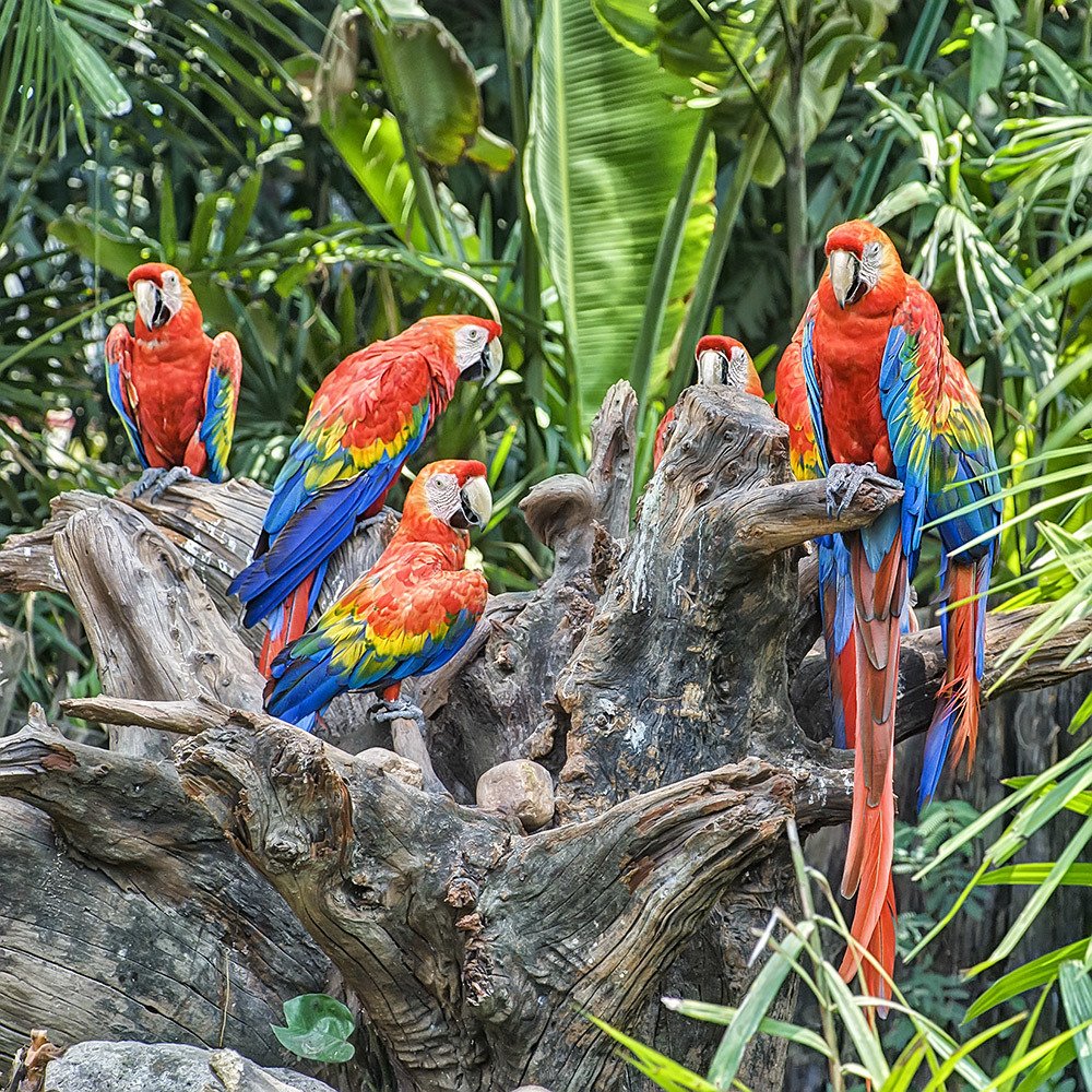 Photograph by Валентин Александров