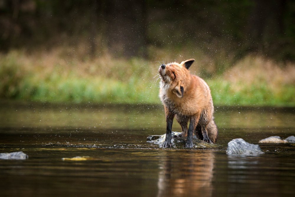 Photograph by Lucia Drietomska