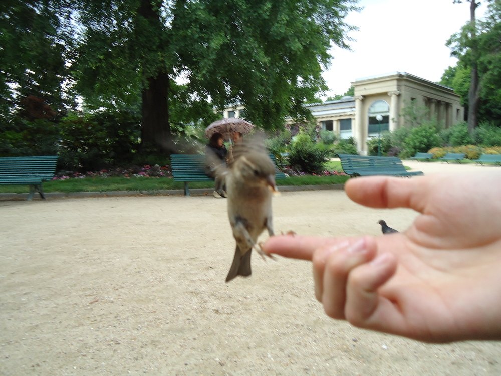 Photo #5014505