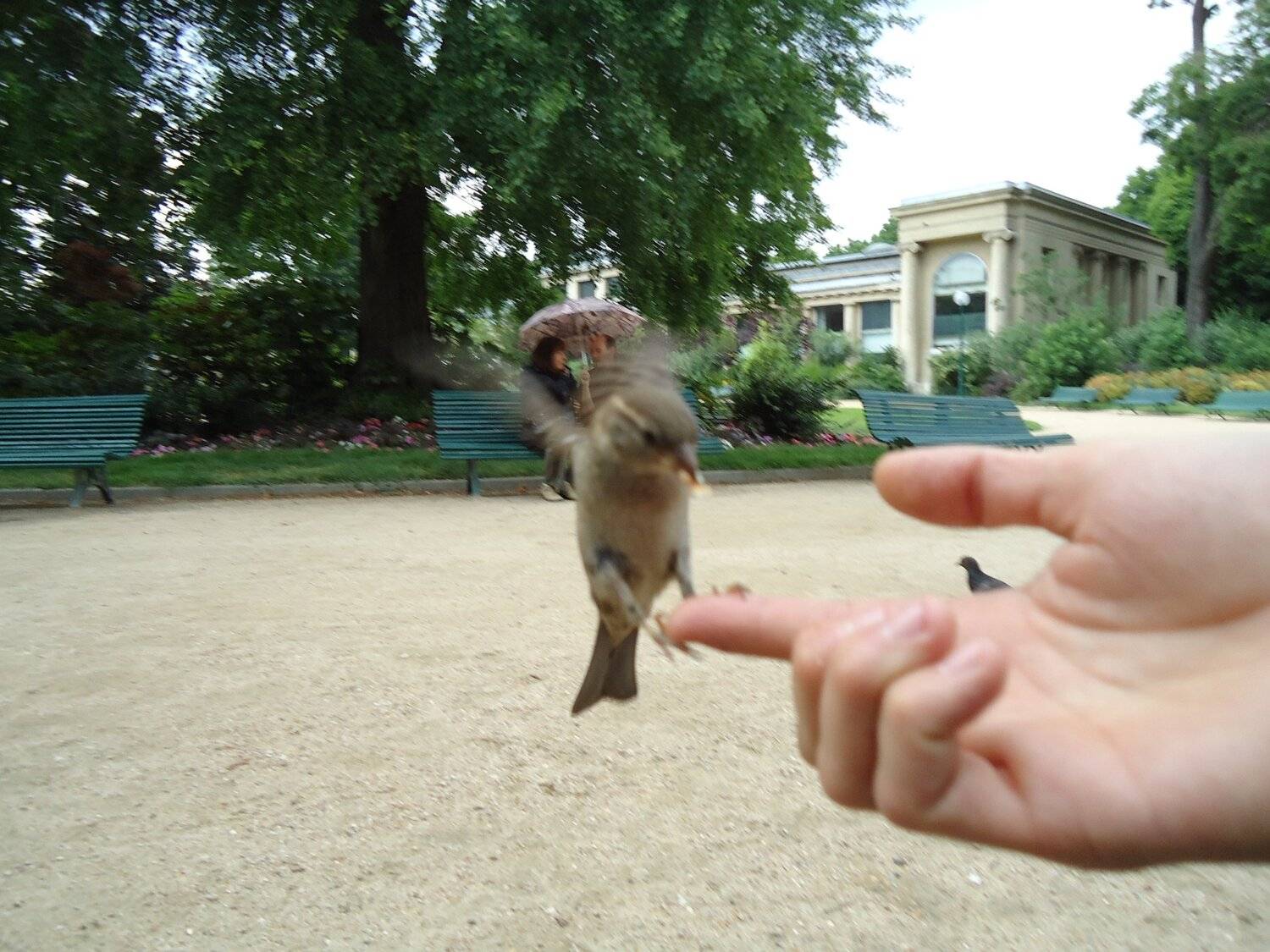 Photo #5014505