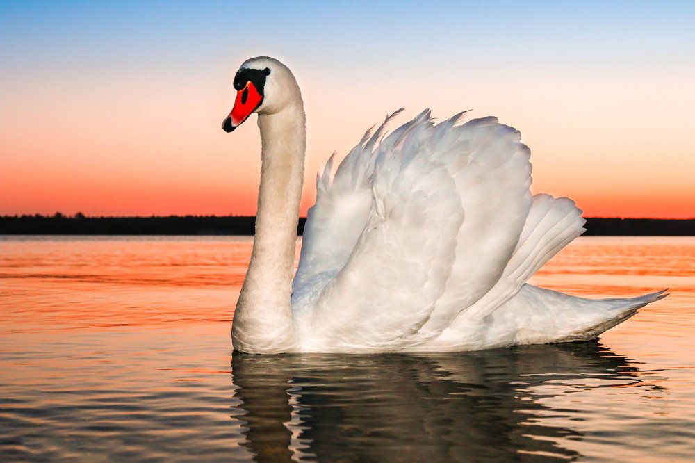 Фотография автора Viaceslavas Bazykas