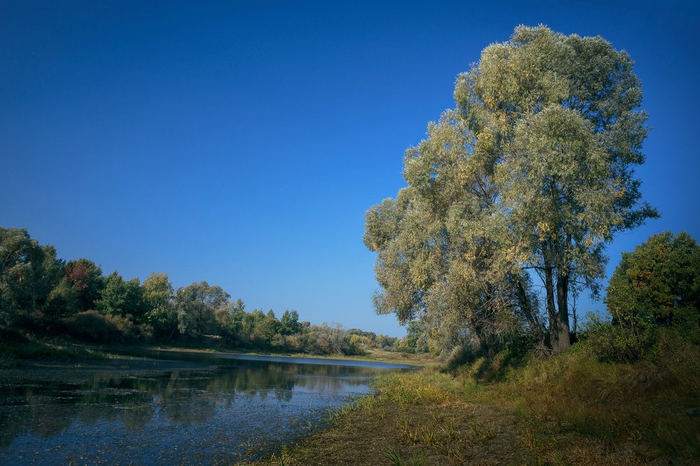 Photograph by Родичев Игорь Леонидович